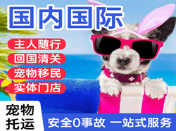 永州零陵机场快运国际宠物托运 【国